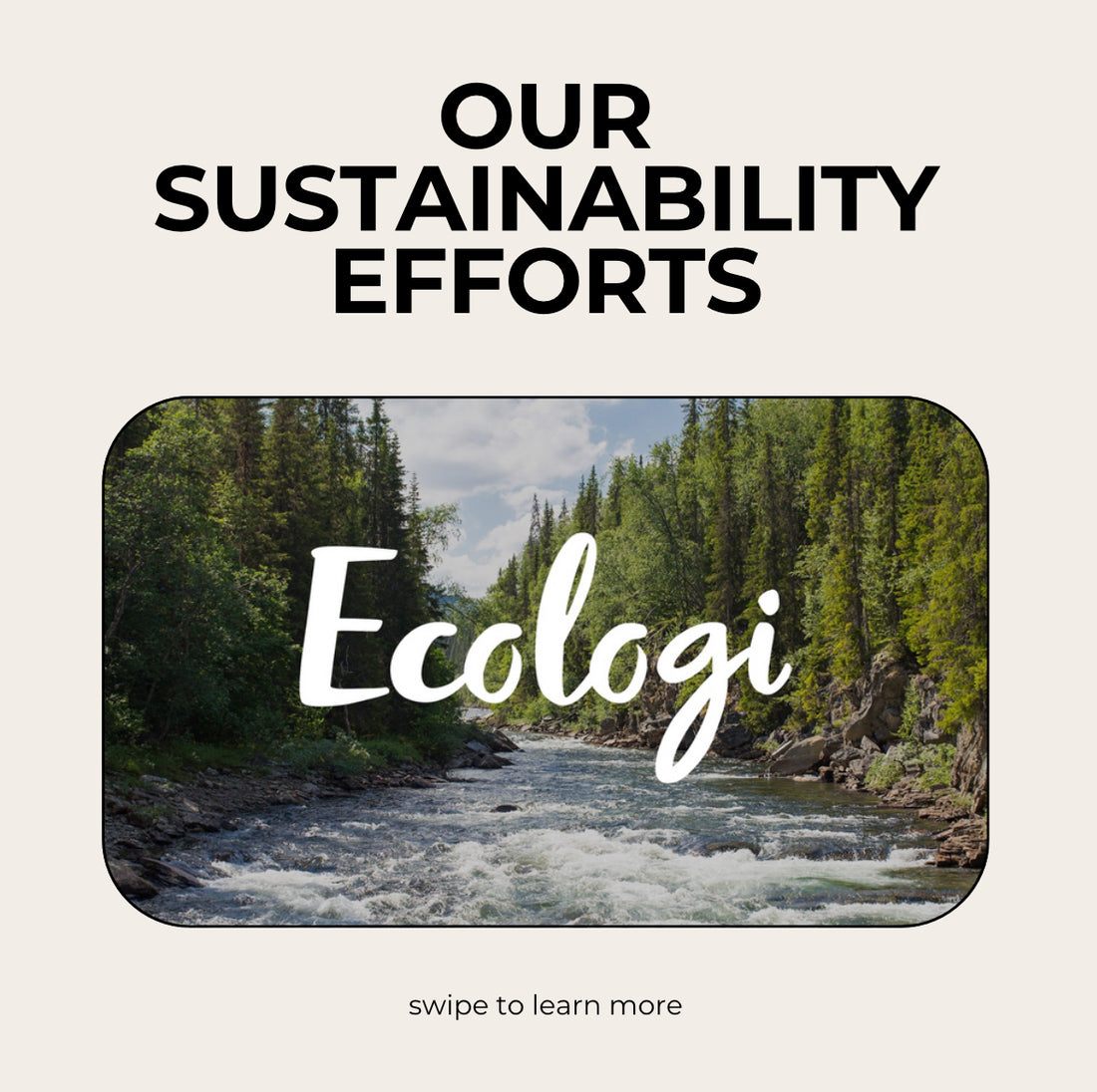 embracing sustainability: partnering with Ecologi to grow our Flamma forest 🌳